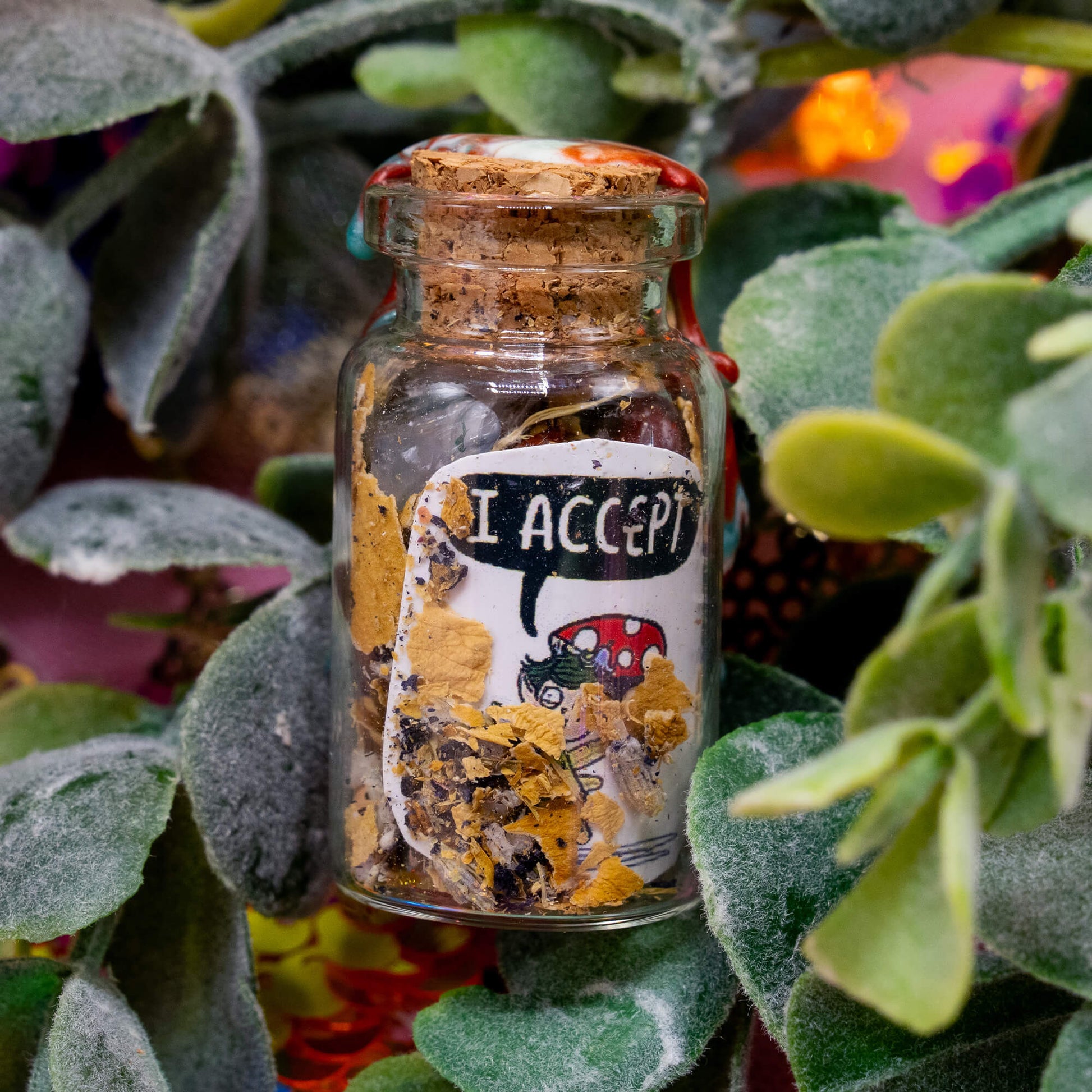 A handmade spell bottle nestled in green foliage, with a colourful wax seal and cork top. The label features a tiny Pixie wearing a toadstool hat and saying “I ACCEPT.” Inside the bottle is a mix of herbs and crystals. A magical, intention-setting item from the Word Spells series by Happiness Enchanters.